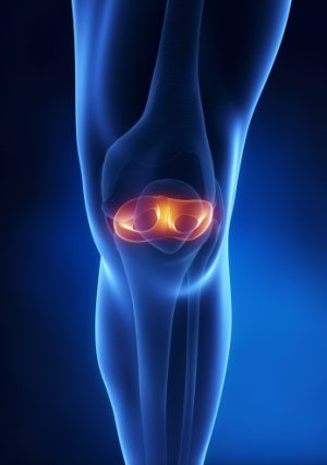 Knee meniscus anatomy anterior view in 3D Knee meniscus anatomy anterior view in 3D